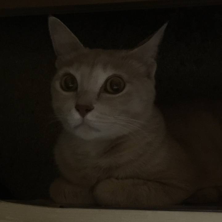 4fa71b26 a000 4a9f 8235 c394385794c2