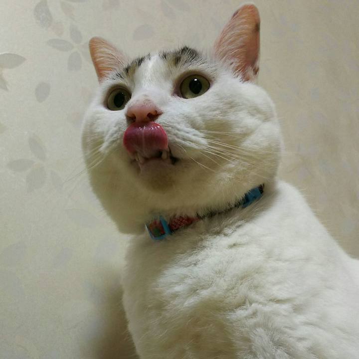 4fa7684d daf0 404a 9e30 46de9f484918