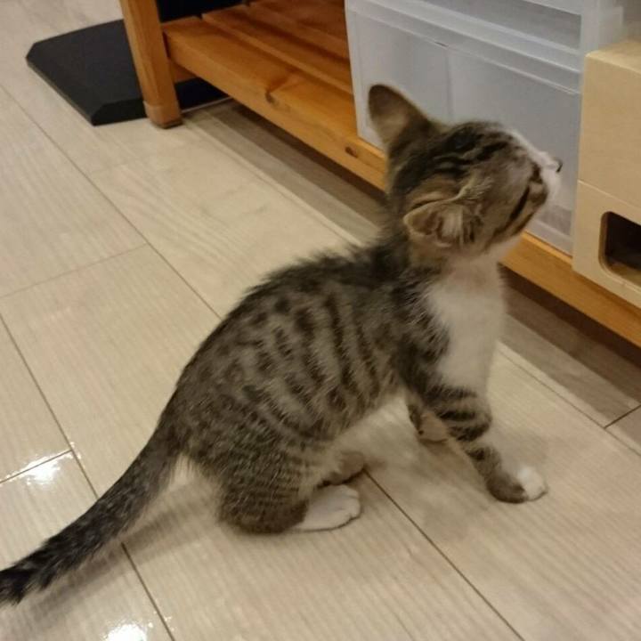 4fa80905 a2c1 4519 a23c 54319839a683