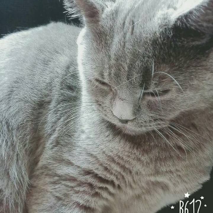 4fa8d4c4 4c50 4d92 b46c ac5e41841e42