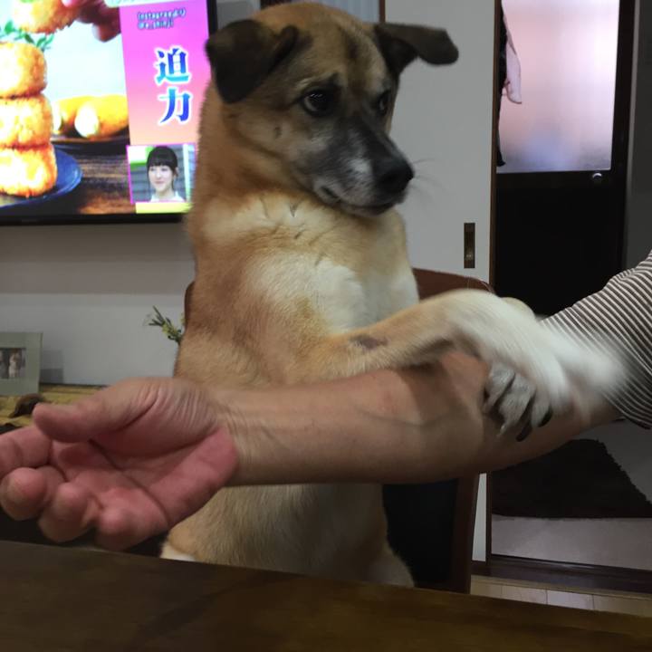 4fa9032b 3b27 46ee bab0 36c3c1c89f9e