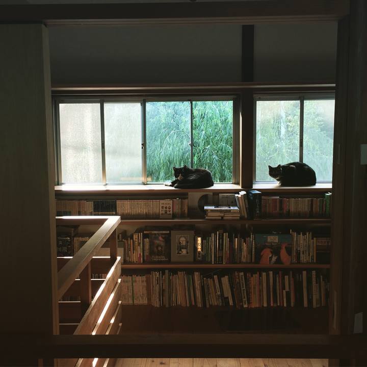 4fa94453 eb04 4418 bede 243706abd8f7