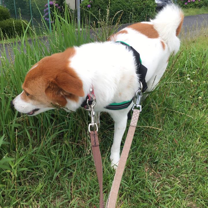 4fa9a69f 832c 4831 b170 585da318f679