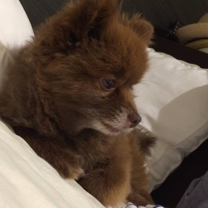 4fa9b0de 3045 417c aed1 b681215f9c04