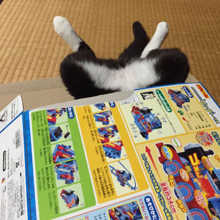 4faabaf9 1198 41c0 9dec 196020c633e3