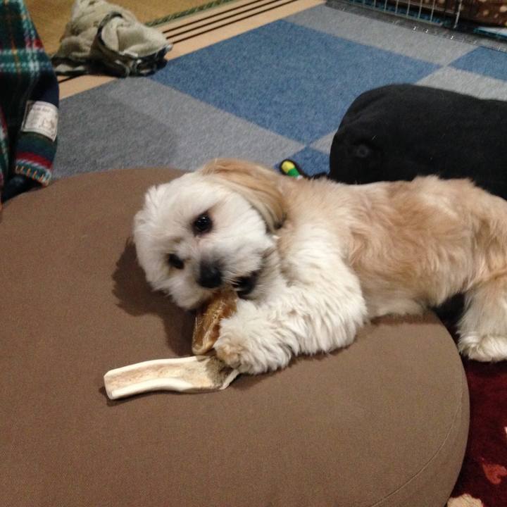 4fab37a9 9aa7 4557 8c50 a6b6b444177f