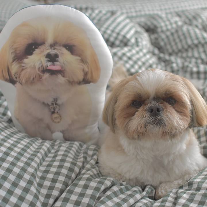 4fab75df 658e 4aef a4cd 27db2b07dd6a