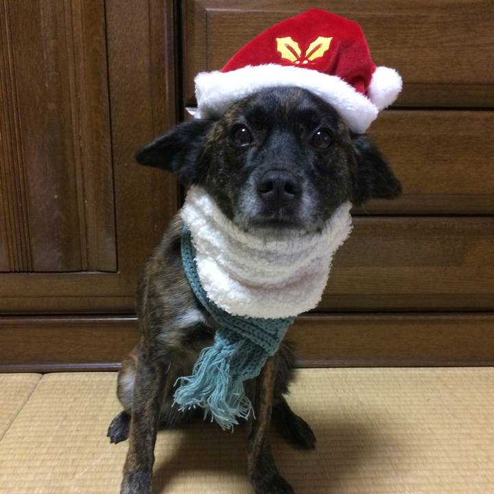 4fac17dd 1ac8 4d29 846a 984c8c6a13dd