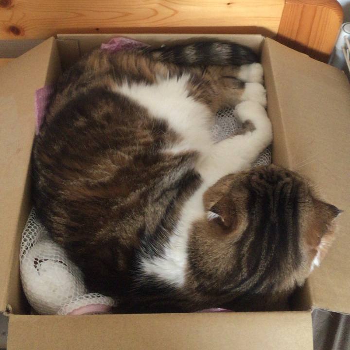 4fac1d8b 89d2 404a ab41 8bcf77dae24a