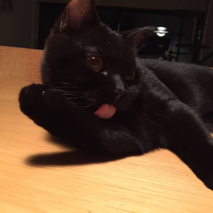 4fac6a1a a49e 4964 b8ad 88f0f90c696a