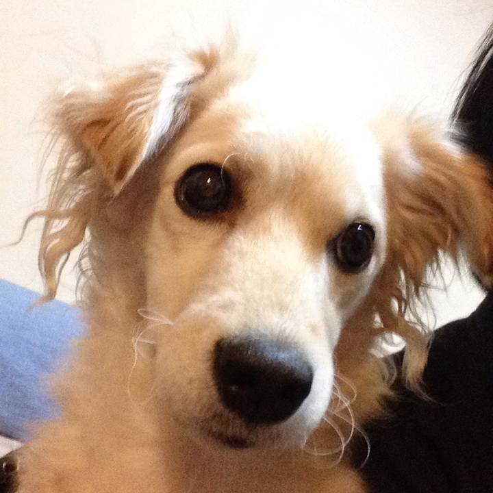 4faca1df 40c2 4d38 b7fb 84e6fbba0cf6