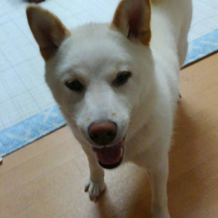 4fadbf9c 391e 4630 ba86 6717c9566fdf