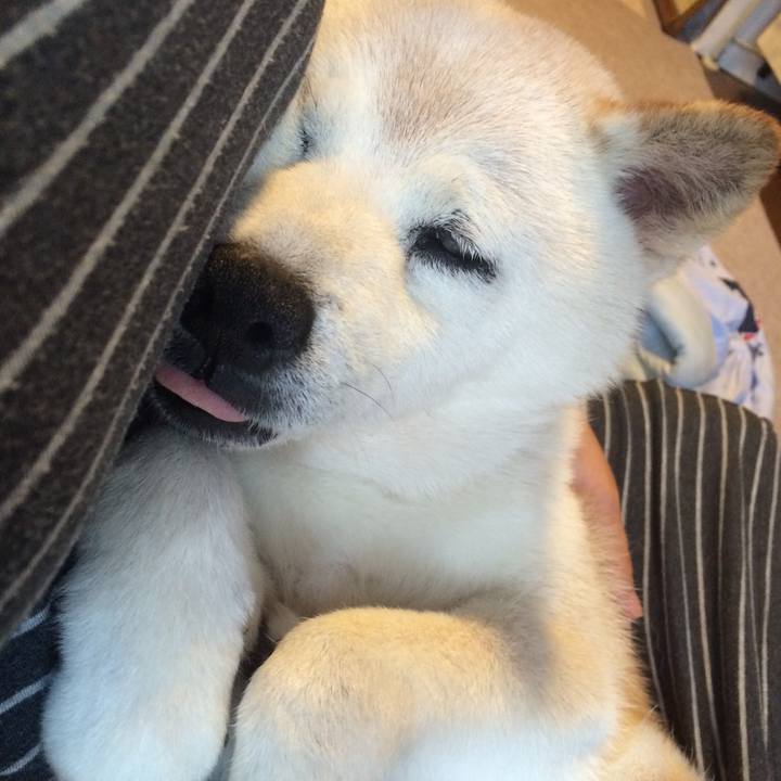 4fadcbba 127e 4dc9 9acf b1425f3e1c52