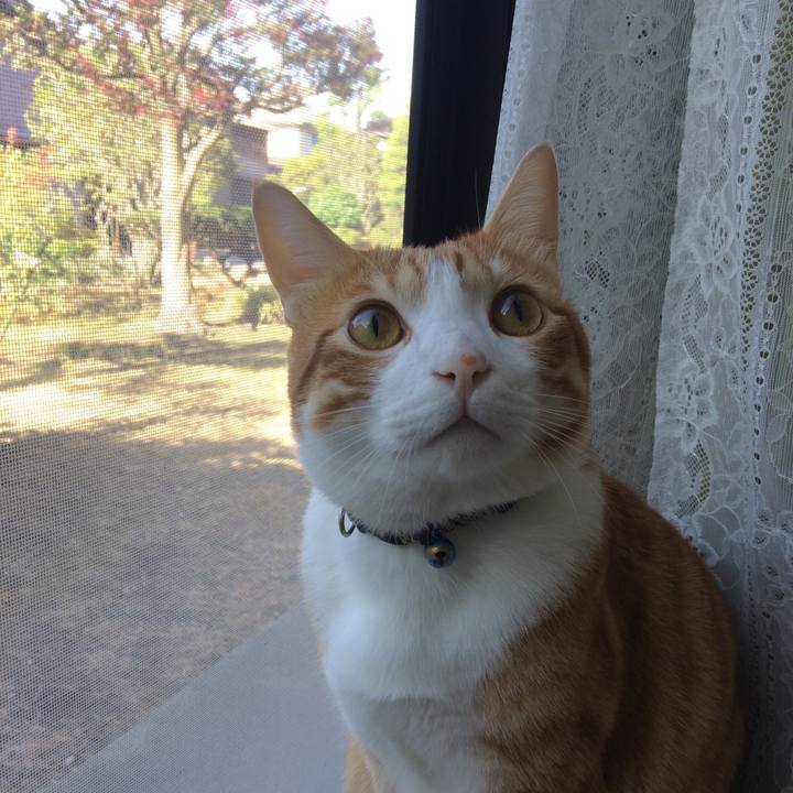 4fae7e86 3668 403a 8457 65e95f1db02d