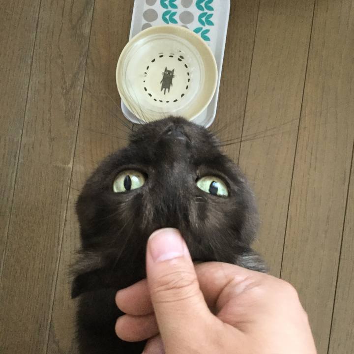 4faee307 79f5 4a35 9a49 a2a2f42c1dea