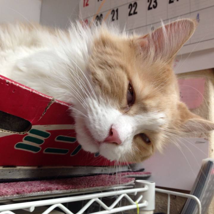 4faef94a 5696 4603 b12d 8435a9589c39