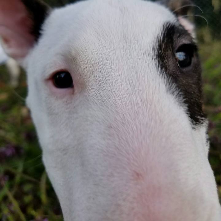 4faf08cc b6b0 4a9d a34c fabd2c4730e5