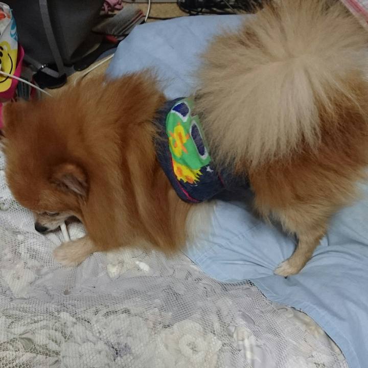 4fafaf58 47d7 4015 a310 e8188d05795e