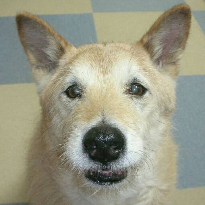 4fb01c98 fa69 4ee8 a700 de7be208fd46