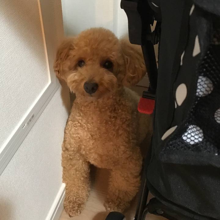 4fb074a9 9284 4573 be68 cd41984acb2c