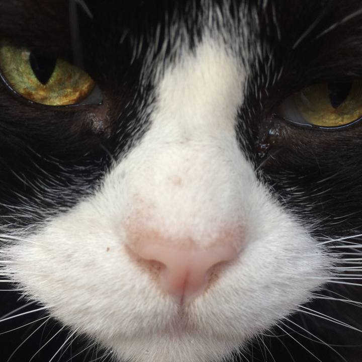 4fb0ebe7 6cac 4a79 9b99 79f60510f288