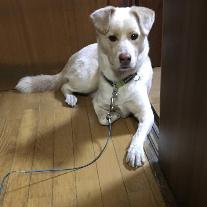 4fb31685 bb58 46f6 91b6 6013be3ed64c