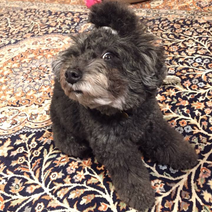 4fb399b6 9cef 4b5c 9f46 7f066ae943a9