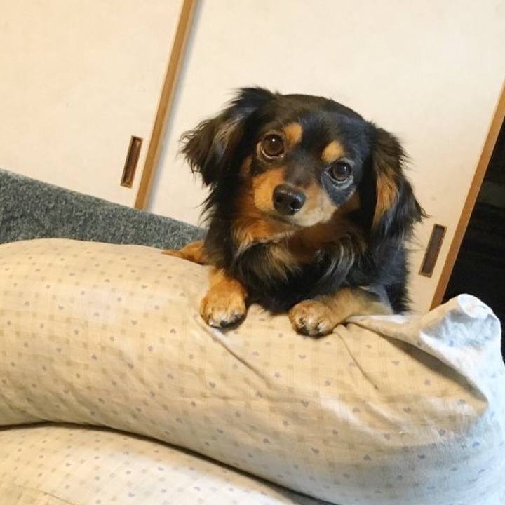 4fb3ac10 9539 45c9 ab5d 2a33a3aeffcf