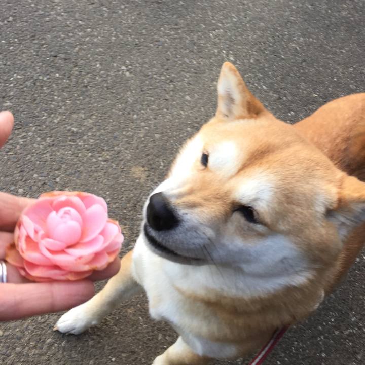 4fb3f824 4e61 4729 9caf f3e4dc20d5c0