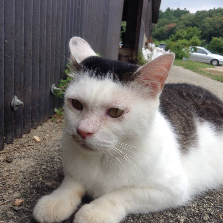 4fb4672d 91c4 446d 8833 ec81c9ce4a9b