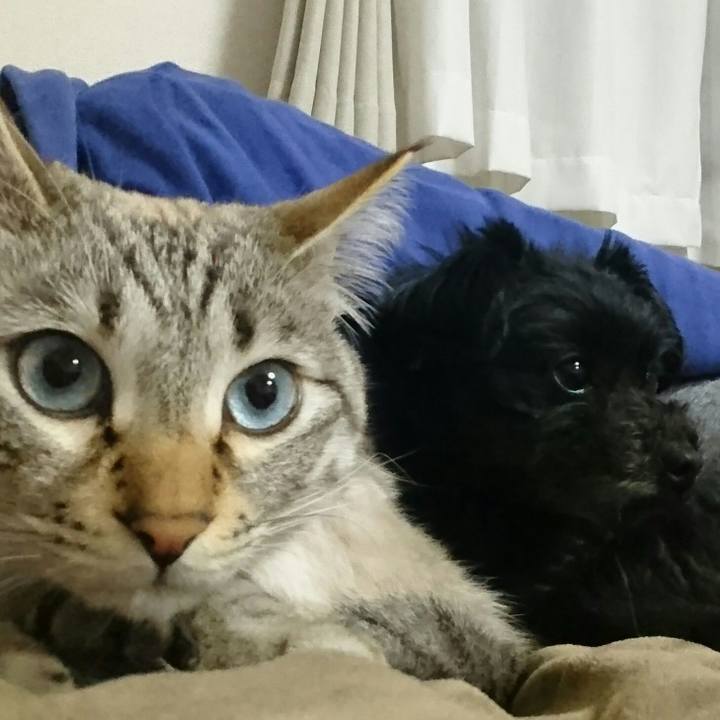 4fb52d58 0266 4c84 8048 a3165caac286