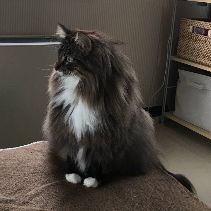 4fb71f35 01dd 49c7 b5ed 7ac4349ad029