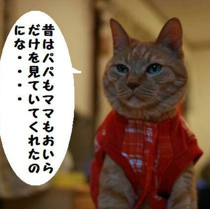 4fb79d5d 3db8 4f0d 9fad 5d2b502caaa8