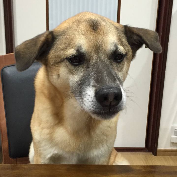 4fb7f71f 577a 4b2a 9a10 e84c0ff3fa36