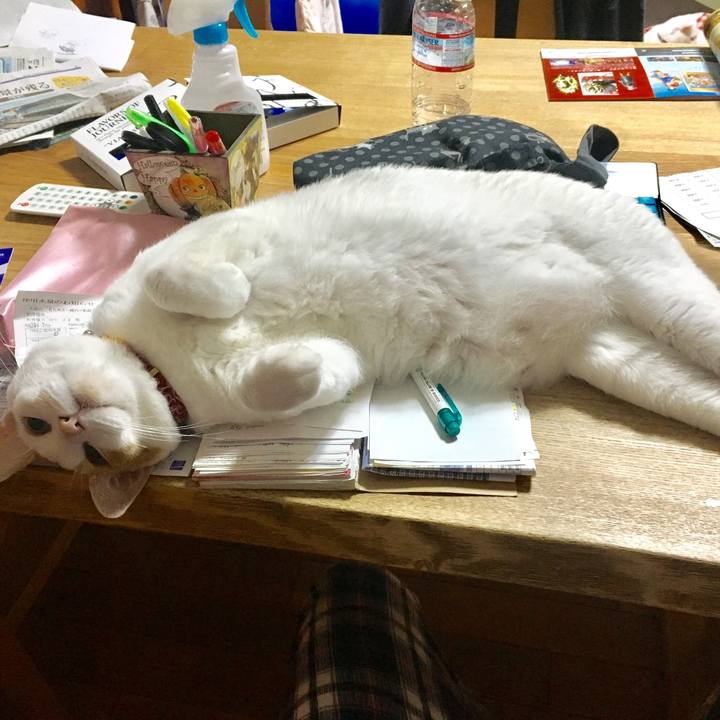 4fb8ba4e 85f8 4b7d 9167 0fe2c6f184ac