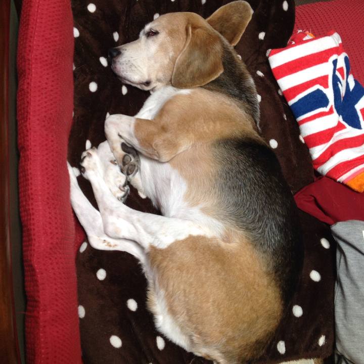 4fb90331 f342 4224 b3db 5d4a3e372045