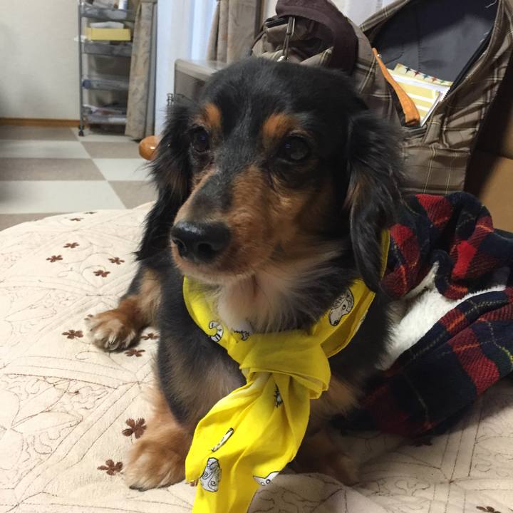 4fb933a8 49d6 4bac ba19 6ee74c9ff667