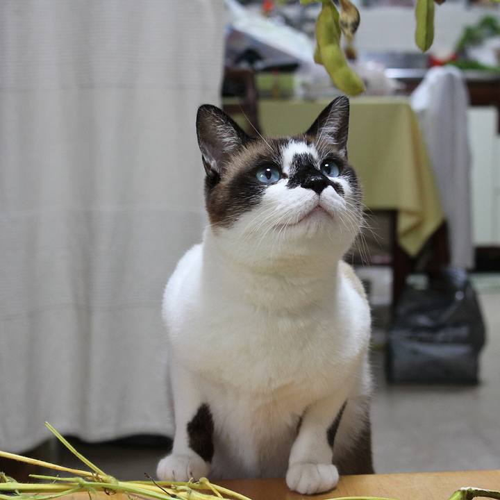 4fb9e387 08e2 4608 b212 e606849484c8