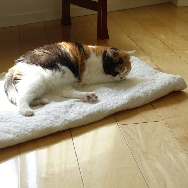 4fba3677 2d72 4355 b815 f39ea4c5f874