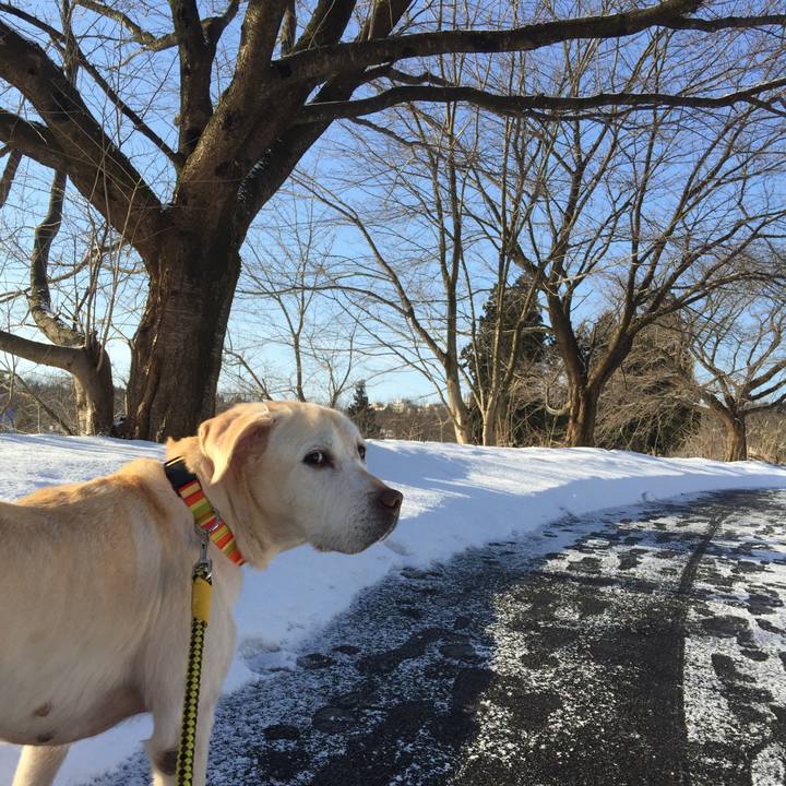 4fba49d1 a051 49d4 a5e2 9bb3fa320300