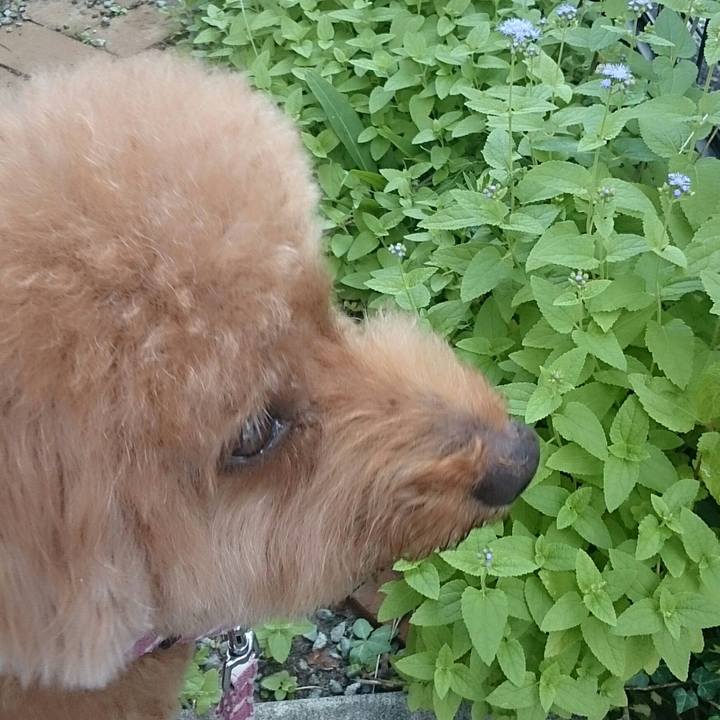 4fba7b16 e7a0 4056 a88d 8f97e5129f26