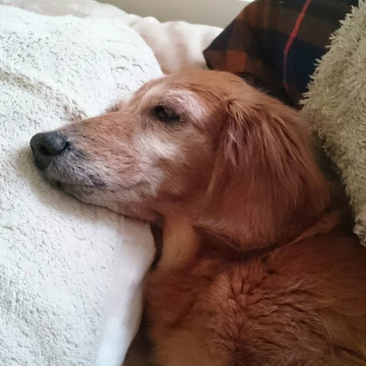 4fbadad8 b0ac 4caa bf50 4b4f9ff4a68f