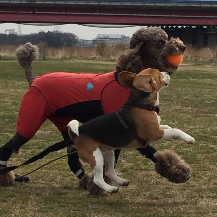 4fbb89a6 c7f7 43b9 a342 41cece15540c