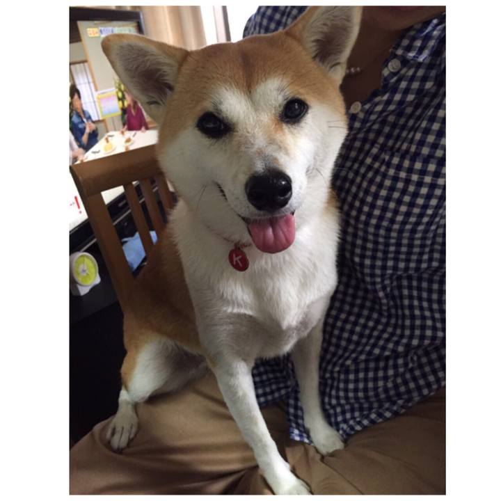 4fbbce88 da64 4da3 bea7 63c29250b922