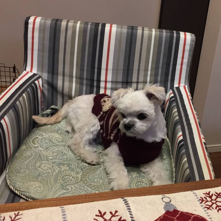 4fbcb00b 4d2a 4659 9931 7cbf2323a7e0