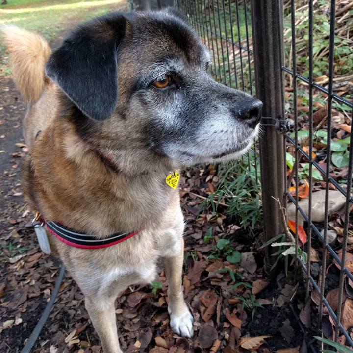 4fbcbf99 bbc2 4d7b 8953 23c4f578815a