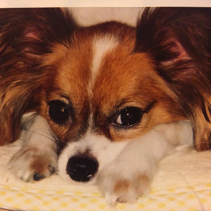 4fbd1781 360a 4720 a452 f79b5e4b7043