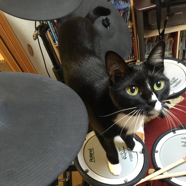 4fbdbe1d 569c 43e5 9ff1 007f1bbaeb6b