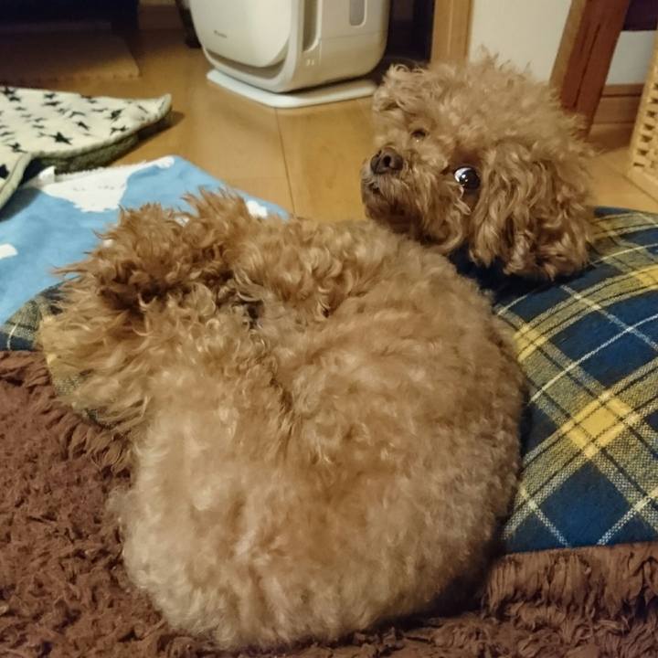 4fbde2a6 b2a6 4544 b3e3 2423a2ce612a