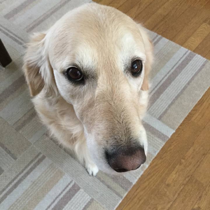 4fbdf2e3 c91a 4240 a3bd 829a95e65677